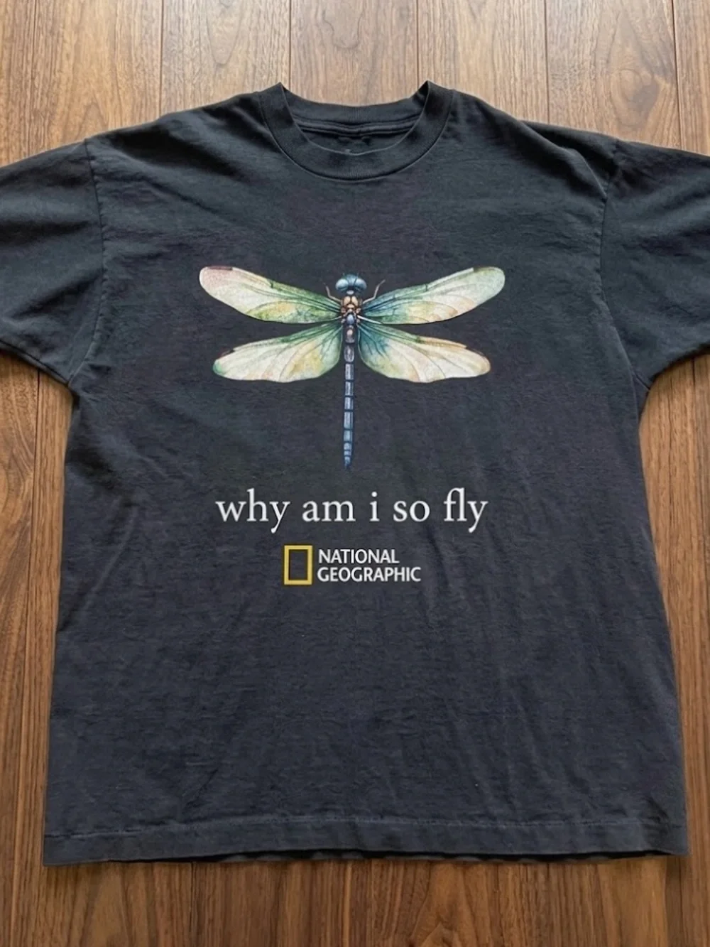 National Geographic Black Tee with Iridescent Dragonfly Graphic